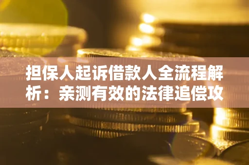 济南担保人起诉借款人全流程解析：亲测有效的法律追偿攻略