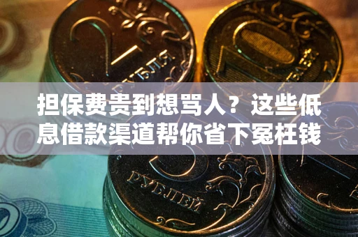 济南担保费贵到想骂人？这些低息借款渠道帮你省下冤枉钱