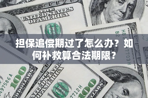 济南担保追偿期过了怎么办？如何补救算合法期限？