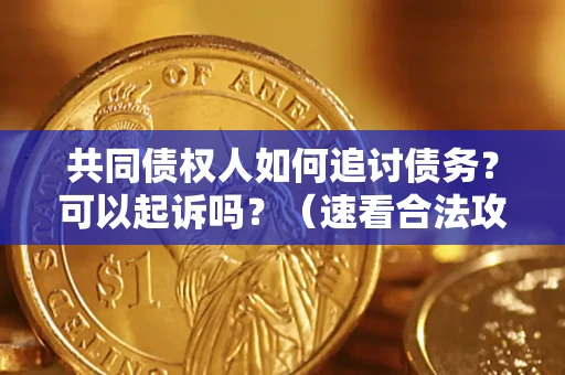 济南共同债权人如何追讨债务？可以起诉吗？（速看合法攻略）