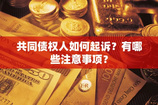 济南共同债权人如何起诉？有哪些注意事项？